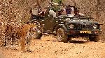 1467696282_0Ranthambore 1.jpg